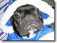 Jsem p�ipraven� na zimu, ale sn�h nikde!