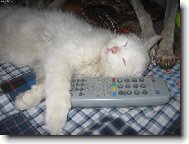 Dobrou,stejn� tam nic nen�