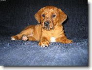 Na�e mal� princezna :-)