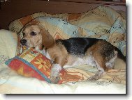 V pe�in�ch tam je hej...