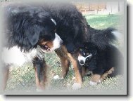 som mal� ale �ikovn� :)