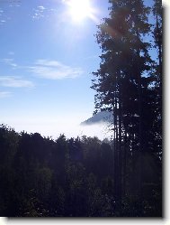 R�no na Broumovk�ch