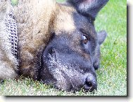 M�m ten sv�t r�d...