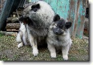 Te� je�t� hlavi�ky od sebe ...