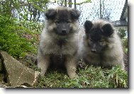 Pr� jsme neposedn�