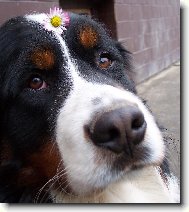 jen pro ty jeho o�i.........