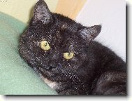 Nebezpe�n� �elma