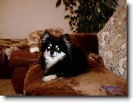 N�  pohod��