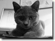 Z o�� do o��