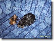 Nejlep�� v�no�n� d�rek