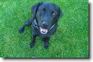 Sakra kdy u� z toho okna n�co spadne!!!