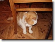 Mates na ��han�