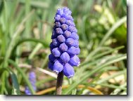 Apr�lov� makro.....