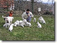 b�l� nad�len�