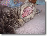 dobr� r����������no