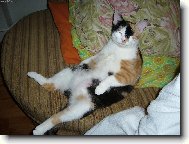 mind��ek u televize