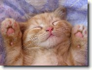 Dob�e, dob�e, vzd�v�m se.