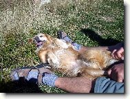 sm�ska jm�nem Bingo