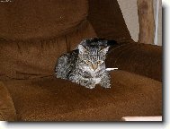 Odpo�inek na k�esle