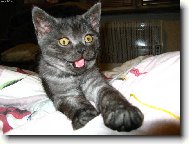 Jsem malej, ale �ikovnej :)