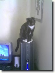 Tady vl�dnu j�! Kuba velik�.