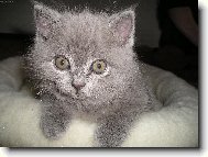 Absolutn� �t�st�