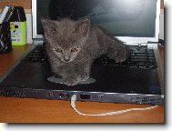 JO to je lep�� pel�ek!