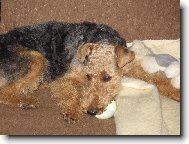 Dokonal� sest�ih.