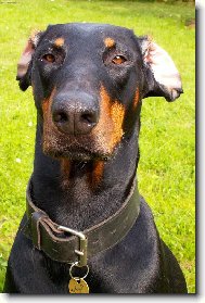 No co, v�tr�m u�i a co...?