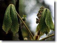 U�, u� u� to bude...