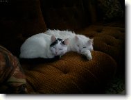 Takhle spolu spink�me