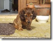 JARO-�AS ML���TEK