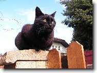 Bez m�ho v�dom� do domu neproklouzne ani my�!