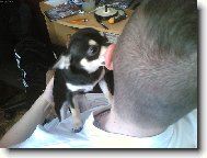 Zas je �i�t�n� na m�-to je �ivot ach jo!