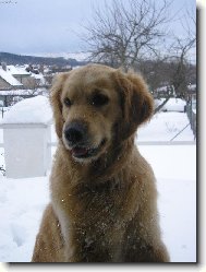 Ejminka v okn� ....