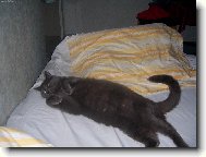 Dnes zde sp�m j�