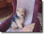 tady jsme p�nem j�!