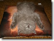 Po bitv� je ka�d� utahan�!!!