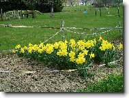 U n�s na chalup�!!!