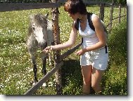 Co dnes m�me k ob�du?