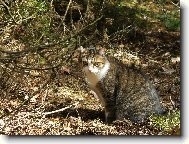 ... tak a te� m��� p�zovat.