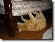 hlavn� ukl�ze� Kuba