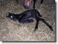 Na�e nov� miminko