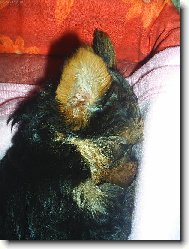 pros�m,neru�it :)!