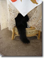 Hra na schov�vanou