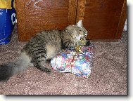 V�noce a Mil��ek