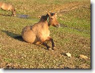 Sedni,no vid� pak �e neum� poslouchat!