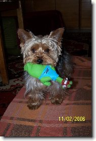 Na�e miminko si chce hr�t :))