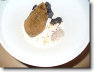 K�e�ek - Dr�palka a jej� " d�ti "