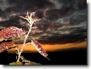 Mocn� a tajupln�...